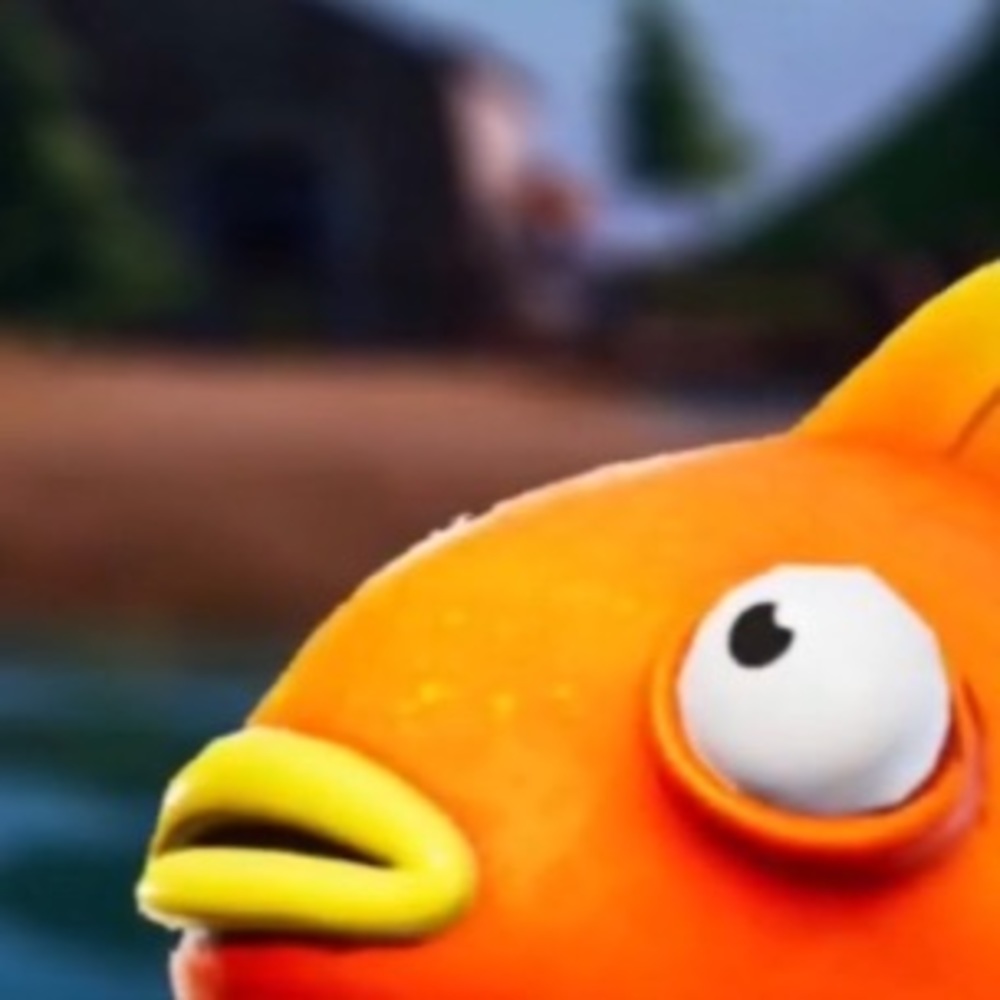 Meet your Posher, Sean